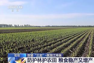 半岛游戏官网攻略苹果手机截图3